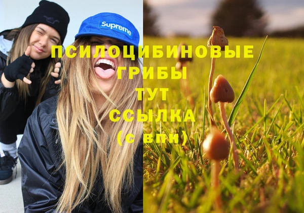 гашишное масло Зеленокумск