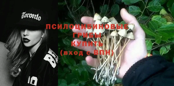гашик Зеленодольск