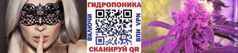 Купить закладки  Звенигород  Каннабис конопля 